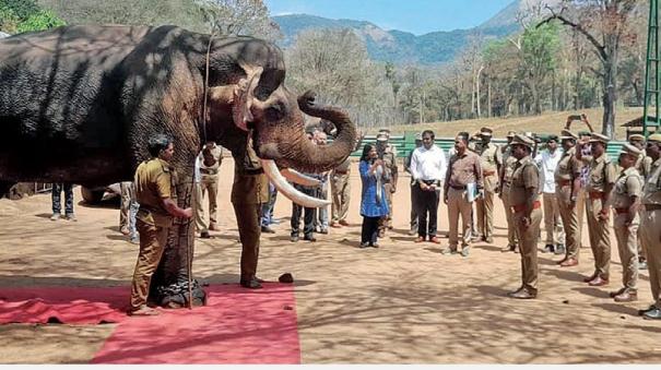 Retirement For Kumki elephant