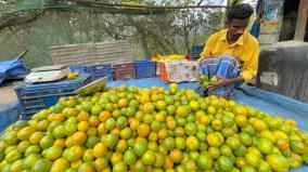 orange-season-ends-on-kodaikanal-selling-at-rs-100-per-kg