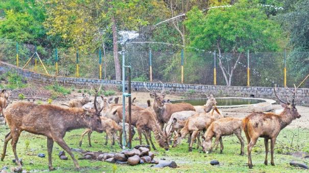Water spray for deer with sprinkler
