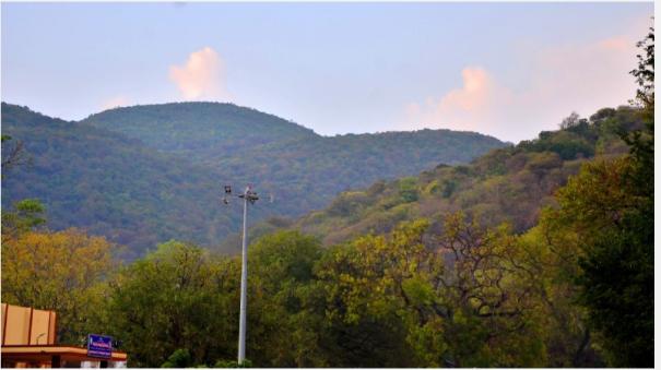 Alaghar Hill turning into a small Kodaikanal: Palamuthirsolai: Tourists throng on weekends