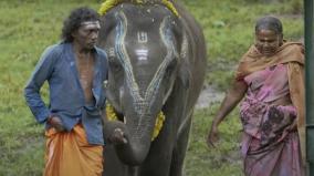 the-elephant-whisperers-wins-the-oscar-for-best-documentary-short-film