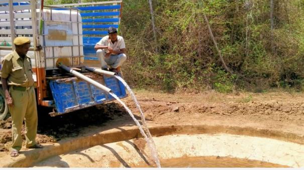 Measures to Prevent Animals from Leaving Forest Area during Summer: Denkanikottai Forest Officials