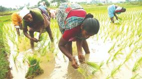 women-development-and-government-schemes