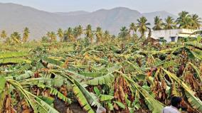 rain-at-night-in-erode-100-degree-heat-during-the-day