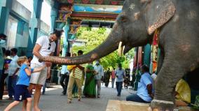 memorial-hall-worth-rs-80-lakhs-for-temple-elephants-who-died-on-madurai