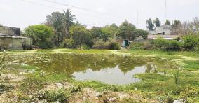 good-water-pond-turned-sewage-pond-in-wallajah