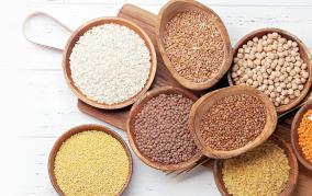 india-will-become-the-international-hub-of-small-grains