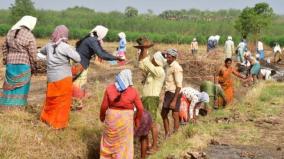 reduction-of-working-days-in-100-day-work-plan-at-puducherry-sent-wrong-information-to-the-central-government