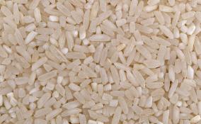 fortified-rice