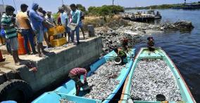 fishermen-s-casualty-compensation-to-be-increased-to-rs-5-lakh-puducherry-minister-lakshmi-narayanan