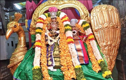 Thiruparankundram Temple Panguni Festival - Golden Peacock Ride