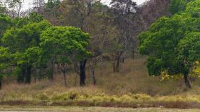 case-seeking-ban-on-construction-of-garbage-dump-near-sathyamangalam-forest-area-hc-orders-to-file-report