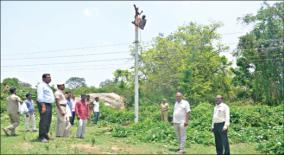 intensification-of-power-line-raising-work-in-krishnagiri-forest-area