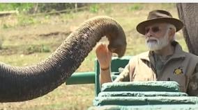 pm-modi-feeds-elephants-at-theppakkadu-camp