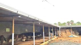 cultivation-by-storing-rainwater-in-wells