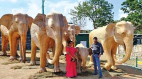 reopening-of-the-closed-mudumalai-tiger-reserve