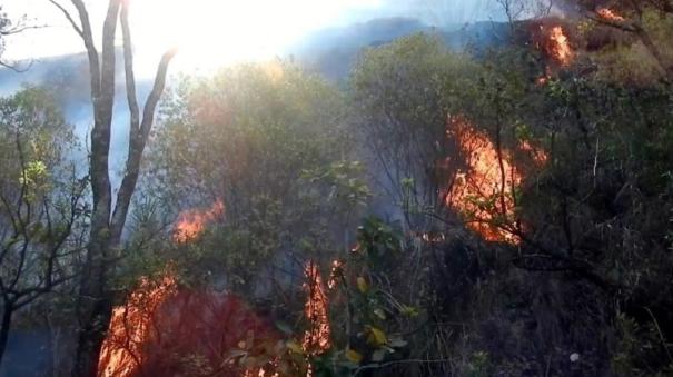 Coimbatore | WildFires on the Western Ghats