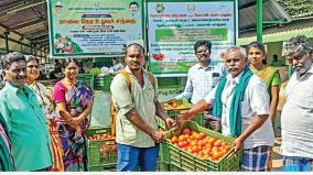 tomatoes-purchased-in-dharmapuri-are-sold-in-salem