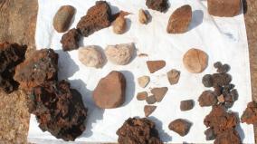 8000-year-old-thani-aravai-pits-discovered-on-madurai