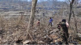 300-man-duty-on-rotation-forest-fire-completely-extinguished-on-western-ghats