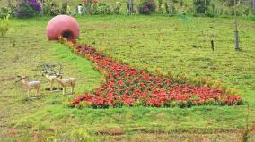 flower-exhibition