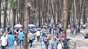 tourists-flock-to-kodaikanal