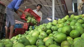 weedless-business-after-mango-season-starts-expected-varieties-are-not-available-for-sale