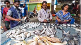 130-kg-of-fish-mixed-with-carcass-processing-chemicals-seized-in-suramangalam