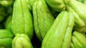 surumalai-savusavu-prices-fall-due-to-increase-on-yield-farmers-worried-as-it-sells-at-rs-6-per-kg