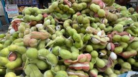 palani-kodukapuli-price-hike-selling-at-rs-200-per-kg