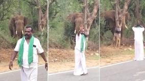 drunken-tourist-who-fearlessly-approached-a-single-elephant-at-hogenakkal