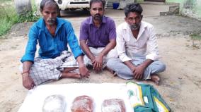 seizure-of-whale-remains-worth-rs-6-crore-to-be-smuggled-abroad-3-arrested