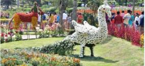 kodaikanal-flower-show-summer-festival-starts-on-26th-may