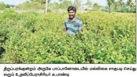 farmer-on-morning-evening-professor-madurai-jasmine-farming-amazing-young-man