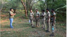 coordinated-elephant-census-work-started-in-4-states-including-tamil-nadu