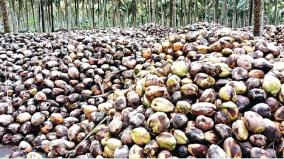 1-50-crore-coconut-reservoir