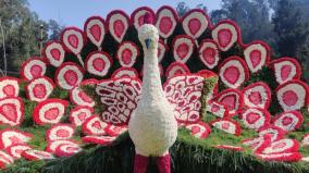 125th-flower-fair-kicks-off-on-udhagai-to-summer-season-eye-catching-peacock-with-50-000-flowers