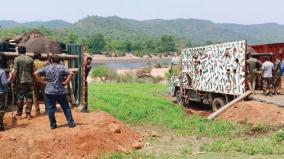 release-of-2-elephants-into-forest