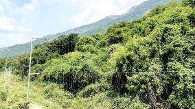 hanging-solar-electric-fence