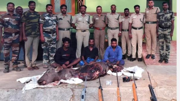 Moose hunting near Kodaikanal: Three arrested