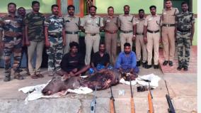 moose-hunting-near-kodaikanal-three-arrested