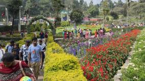 kodaikanal-summer-festival-from-today