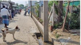 the-power-board-installed-an-electric-pole-in-the-drainage-channel-near-thitakkudi