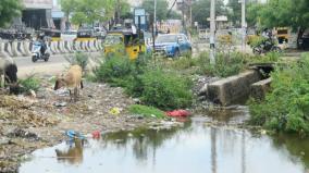 drainage-channels-in-paddy