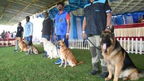 yercaud-summer-festival-ends-today-dogs-show-attracts-tourists