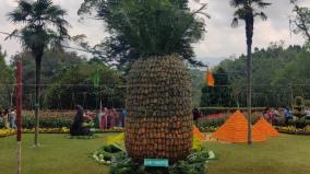 12-tons-of-mega-pineapples-captivated-visitors-at-the-fruit-fair-that-started-at-coonoor-sims-park