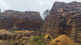 7-000-tons-of-paddy-missing-in-dharmapuri-officials-investigate