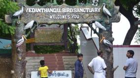 77-000-tourists-visit-vedantangal-bird-sanctuary