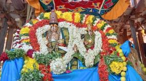 rajapalayam-therottam-kolagalam-by-tharulya-nachadai-swami-thousands-of-devotees-visit-dharshan