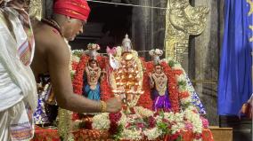 vaikasi-visagam-festival-thirukalyanam-in-palani-temple